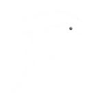 el delfin blanco asd